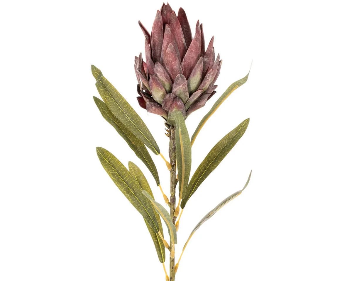 Florists Products Protea Leucadendron Kunstblume 3er Set Bunt 65 cm - Bild 5