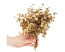 Florists Products Kunstpflanze Eukalyptus Dekozweig Gold 6 Stück Bild 3