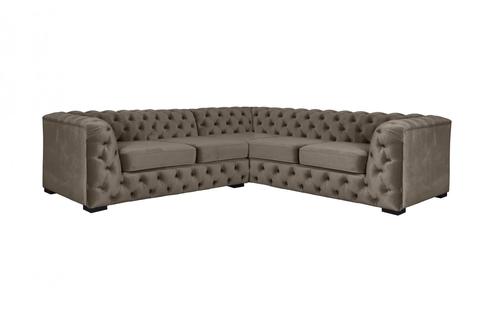 Home affaire Chesterfield Sofa Samtvelours Braun 247 cm
