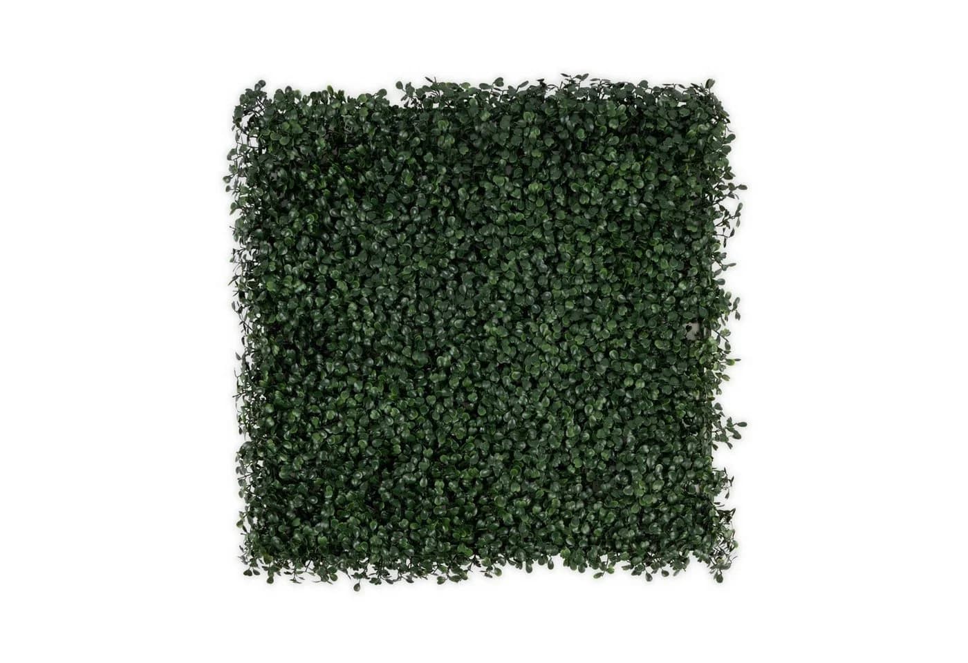 Kubus Kunstpflanze Pflanzenwand Arelie Dark-Green UV-beständig - Bild 2