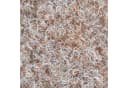 Karat Kunstrasen Brilliant Beige Rasenteppich Drainage Bild 3
