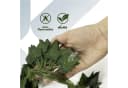 Kubus Kunstpflanze Hedera-Girlande 12er Pack Grün UV-beständig Bild 3