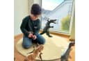 Kubus Kinderteppich Turtle Beige Rund Frieze-Teppich Bild 1