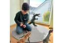 Kubus Kinderteppich Turtle Rund Silbergrau Polypropylen Bild 1