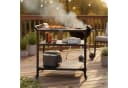 BBQ-Toro Grillwagen mit Edelstahl-Arbeitsfläche und verstellbarer Ablage Bild 1