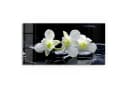 DEQORI Glasbild 'Orchidee mit Zen-Steinen' Schwarz/Weiß Modern Bild 1