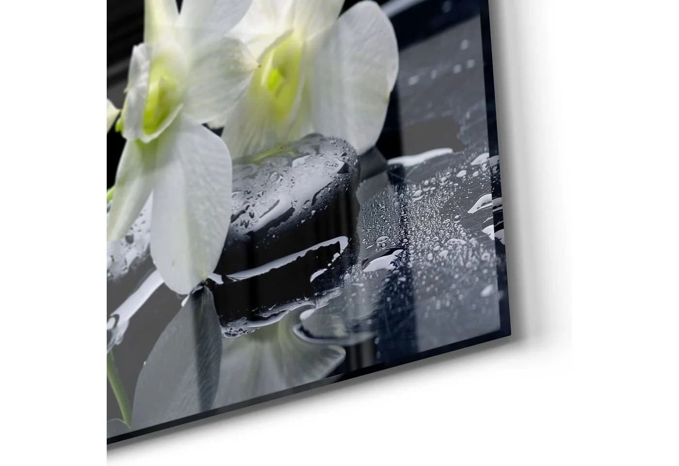 DEQORI Glasbild 'Orchidee mit Zen-Steinen' Schwarz/Weiß Modern - Bild 5