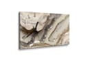 DEQORI Wanduhr 'Funkelnde Steinpracht' Glas Modern Beige/Braun/Silber Bild 1