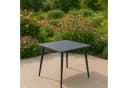 TPFGarden Bistrotisch BIRKENHEAD Stahl Grau Bild 4