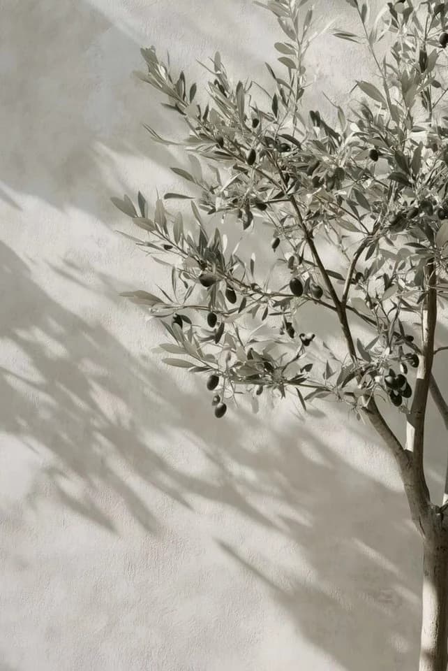 TPFLiving Kunstdruck Italienische Landschaften - Leinwandbild 50x70cm - Bild 2