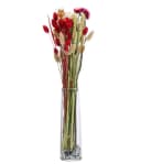 Dehner Trockenblumenstrauß Luna 40 cm Rot Bild 1