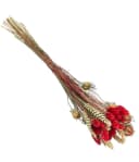 Dehner Trockenblumenstrauß Luna 40 cm Rot Bild 2