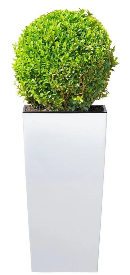Prosperplast Blumentopf Urbi Square 325 Hochglanz Kunststoff
