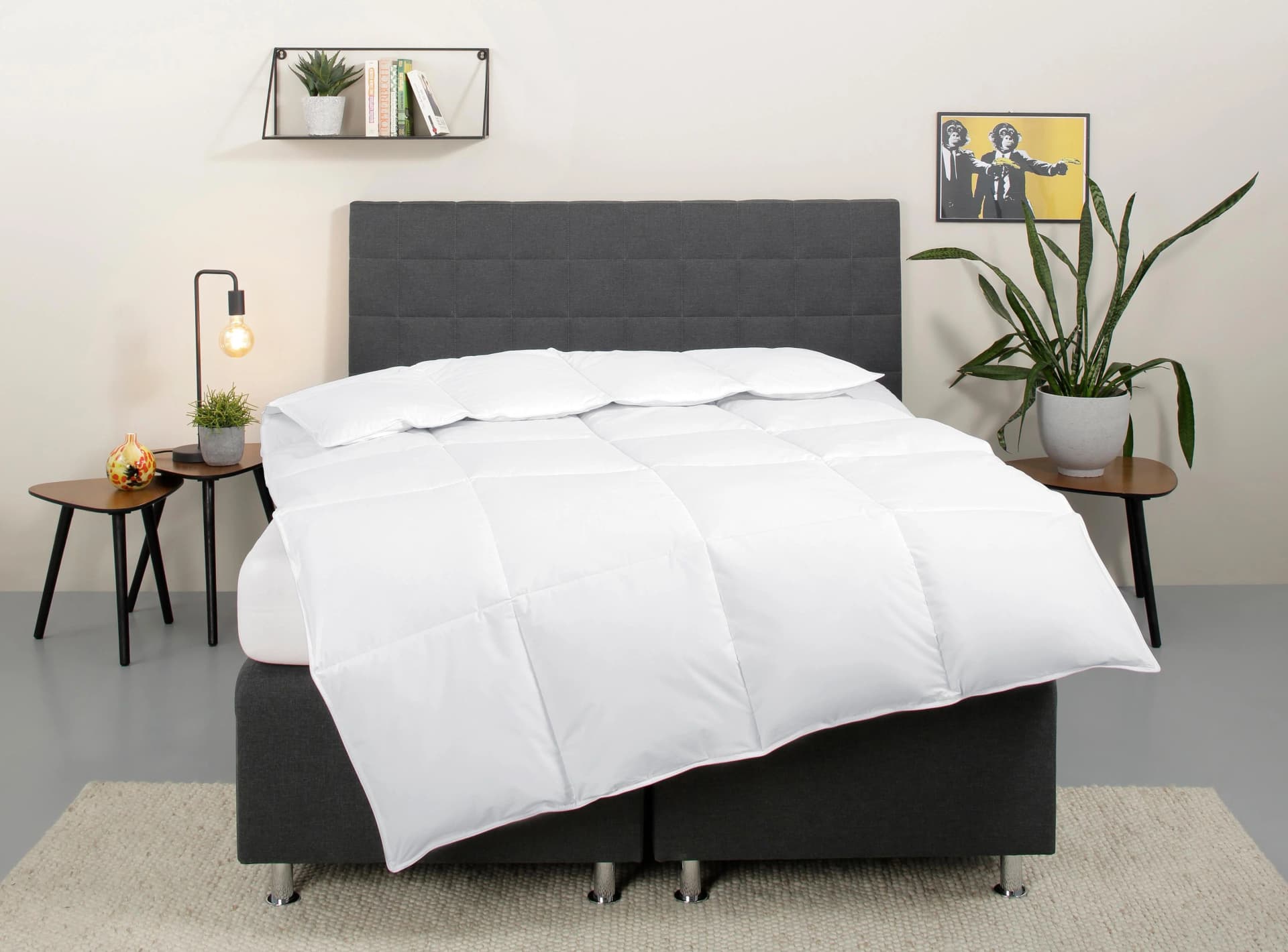 OTTO HOME Daunenbettdecke Cyra Weiß Extrawarm