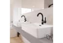 WELLTIME Waschtischarmatur Adria Schwarz mit Eco-Click und Pop-Up Bild 4