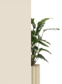 OTTO HOME Seitenzugrollo Themse Beige Klemmfix Verdunkelung Bild 5