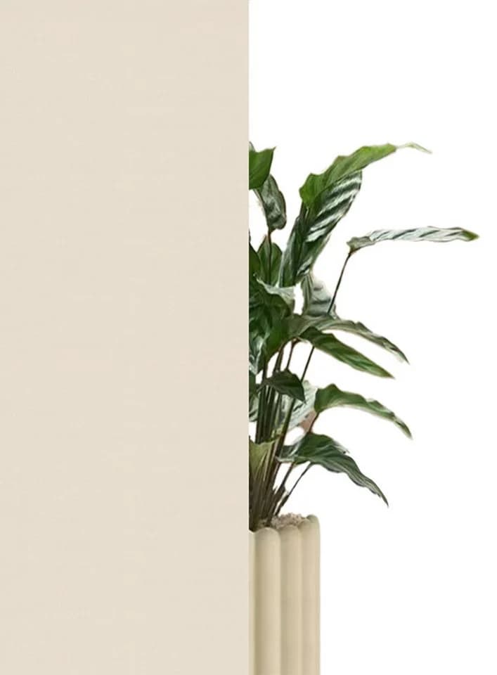 OTTO HOME Seitenzugrollo Themse Beige Klemmfix Verdunkelung - Bild 5