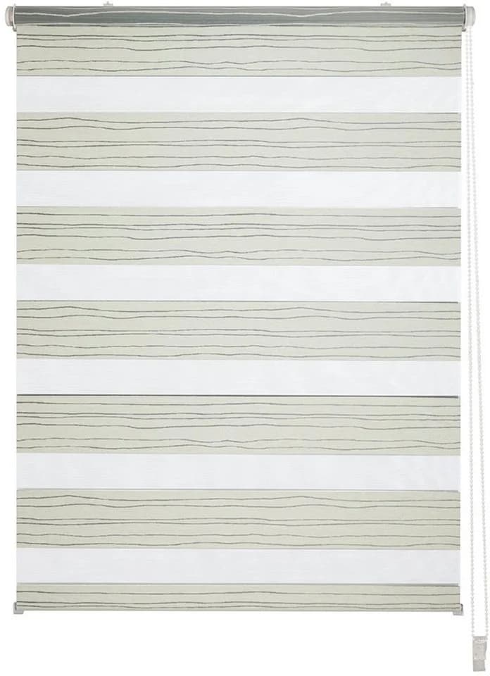OTTO HOME Doppelrollo PAGELLA Hellgrau Polyester Klemmfix