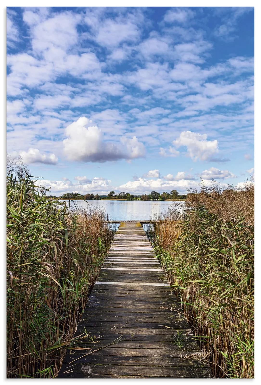 ARTLAND Wandbild Steg und Schilf am Krakower See Blau