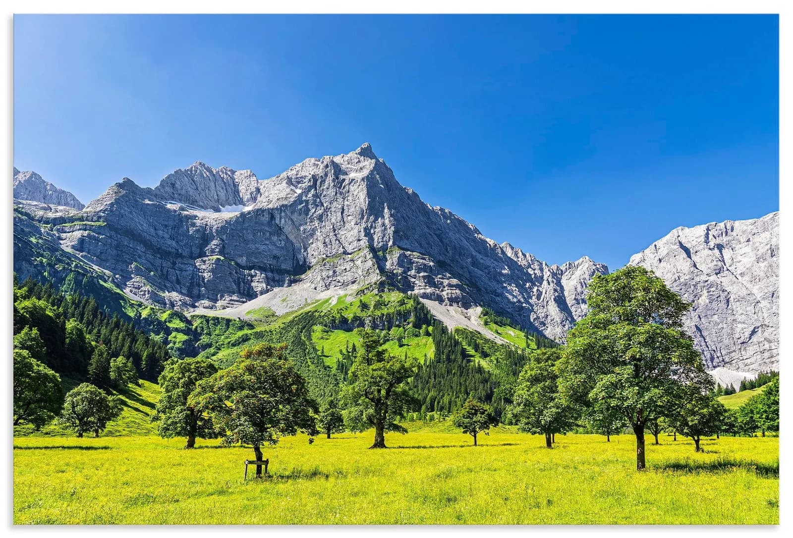 Artland Wandbild Große Ahornboden im Rißtal Grün Alu Dibond
