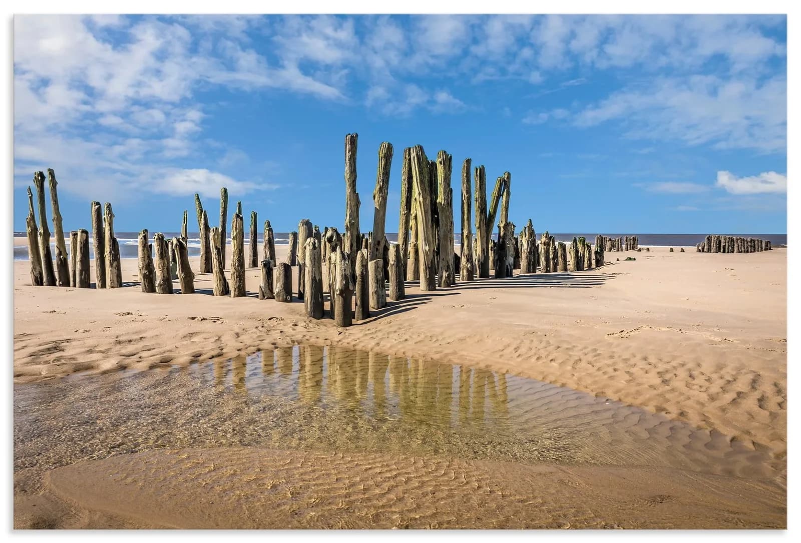 Artland Wandbild Alte Buhnen Rantum Sylt Braun Alu Dibond