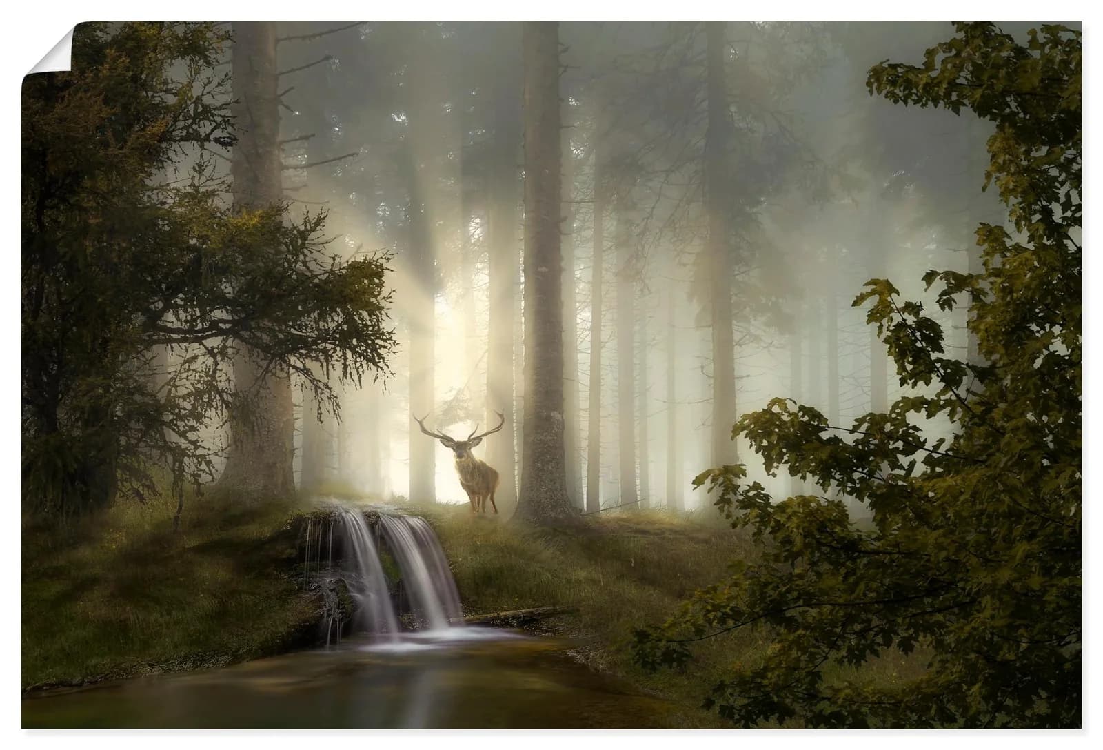 Artland Wandbild Waldgeheimnisse Naturfarben Kunstdruck