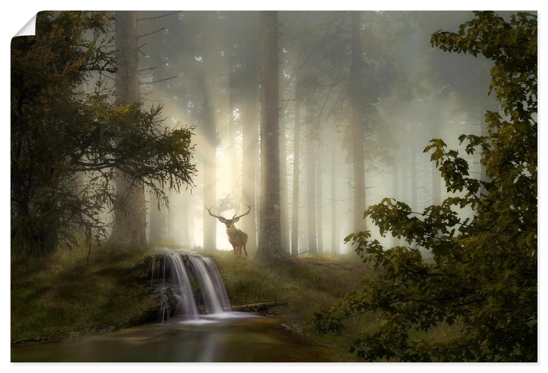 Artland Wandbild "Waldgeheimnisse" Kunstdruck Naturfarben