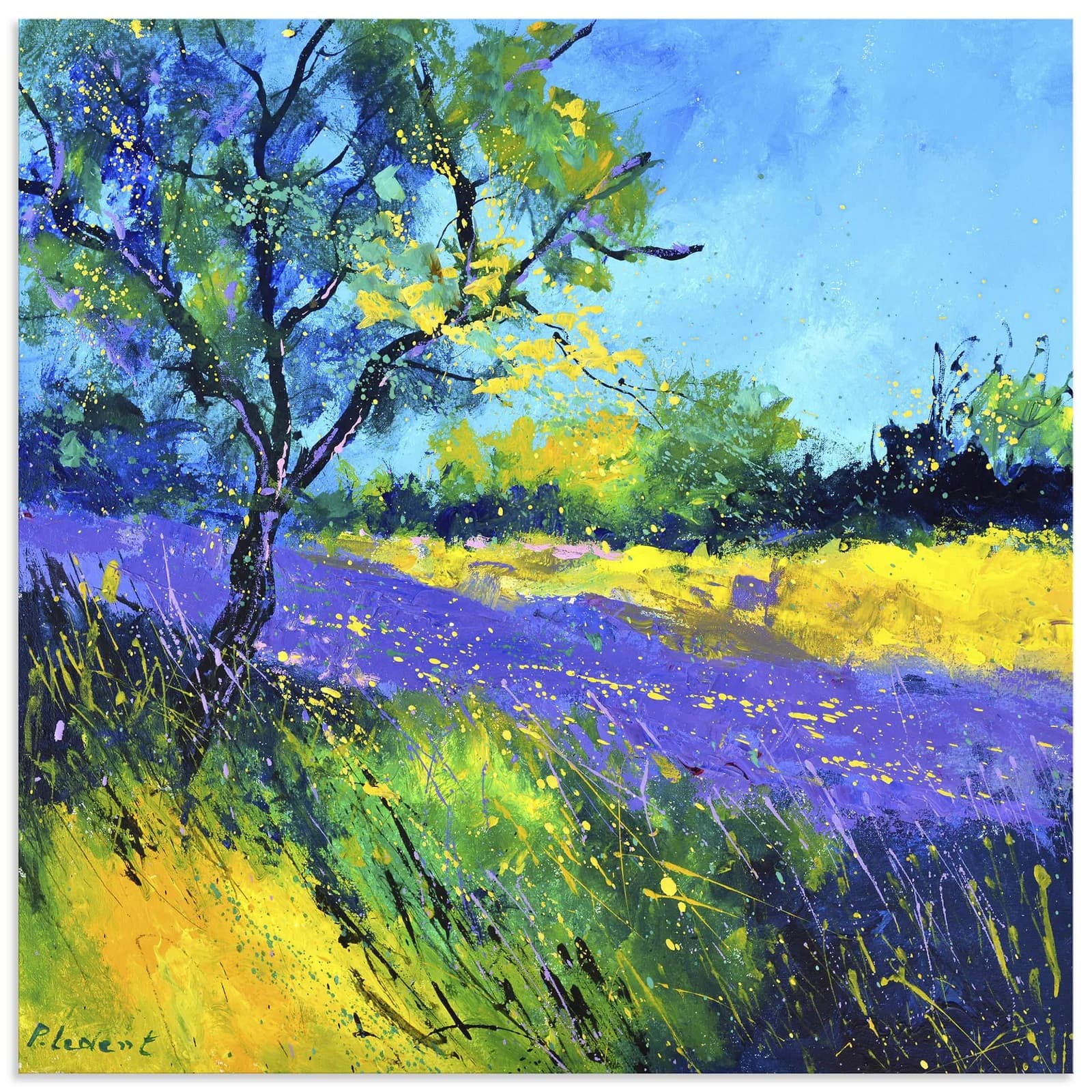 ARTLAND Wandbild Lavender field 100x100 cm Alu Dibond