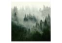 Bilderdepot24 Fototapete Tannenwald Nebel Grün Modern Bild 1