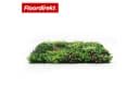 Floordirekt Pflanzenwand Hera 100x100 cm Kunstpflanzen Bild 1