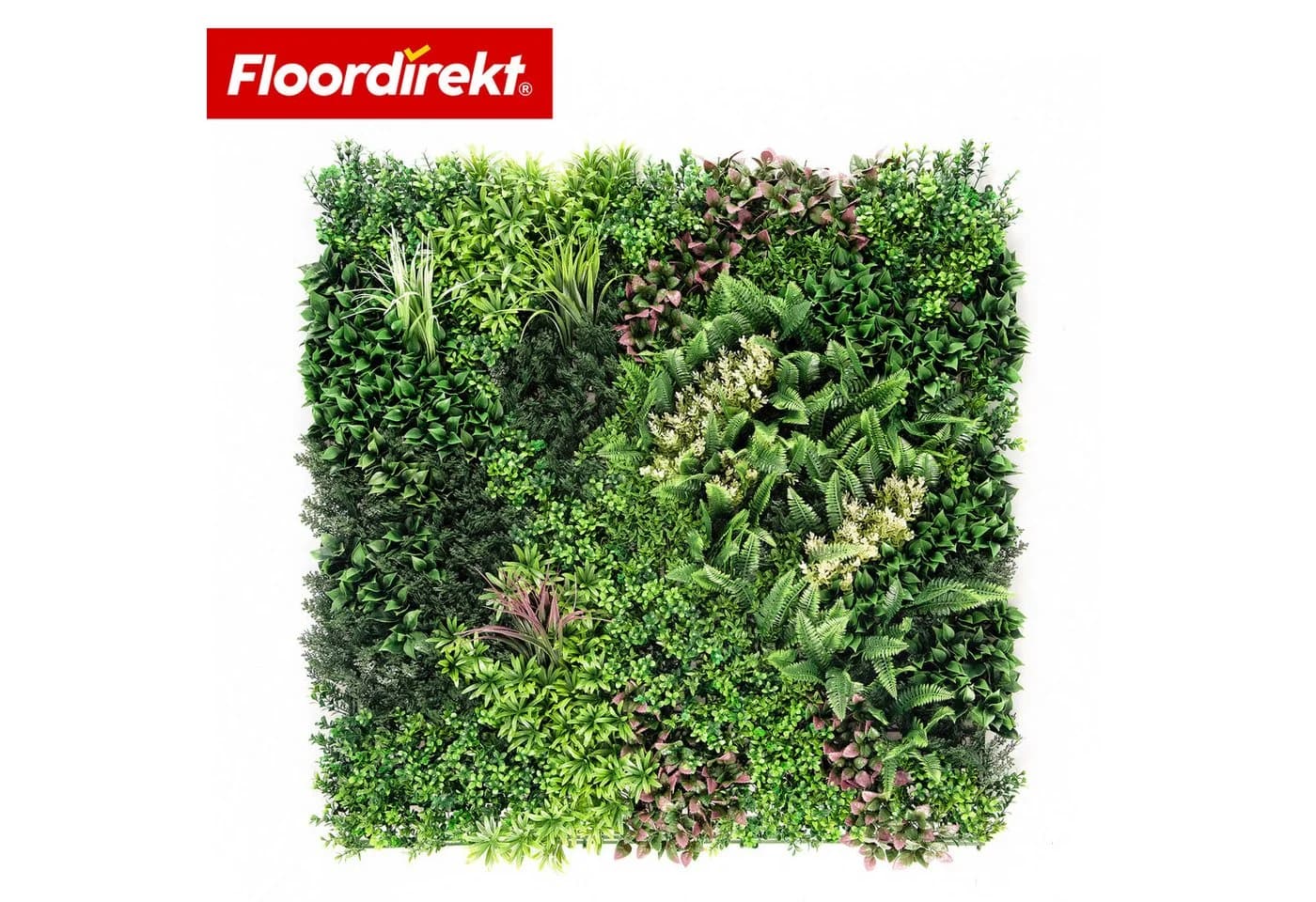 Floordirekt Pflanzenwand Hera 100x100 cm Kunstpflanzen - Bild 2