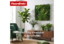Floordirekt Pflanzenwand Hera 100x100 cm Kunstpflanzen Bild 5