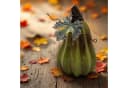 Spetebo Deko Kürbis Steinzeug 6er Set Bunt Herbstdeko Bild 5