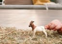 Schleich® Burenziege Farm World 14929 Kunststoff Bild 1