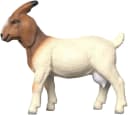 Schleich® Burenziege Farm World 14929 Kunststoff Bild 4