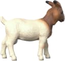 Schleich® Burenziege Farm World 14929 Kunststoff Bild 5