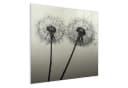 Primedeco Magnettafel Glas Pusteblume Schwarz Whiteboard Bild 1