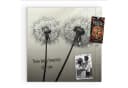 Primedeco Magnettafel Glas Pusteblume Schwarz Whiteboard Bild 2