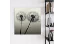 Primedeco Magnettafel Glas Pusteblume Schwarz Whiteboard Bild 3