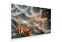 Primedeco Glasbild Pusteblumenperlen Blumen & Pflanzen Bild 2