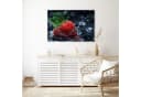 Primedeco Glasbild Wandbild Erdbeere im Wasser Rot Elegante Aufhängung Bild 3