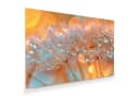 Primedeco Glasbild Wandbild Pusteblumen Tropfen mit Aufhängung Bild 2
