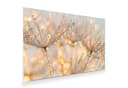 Primedeco Glasbild Wandbild Tautropfen Panorama Blumen Pflanzen Bild 2
