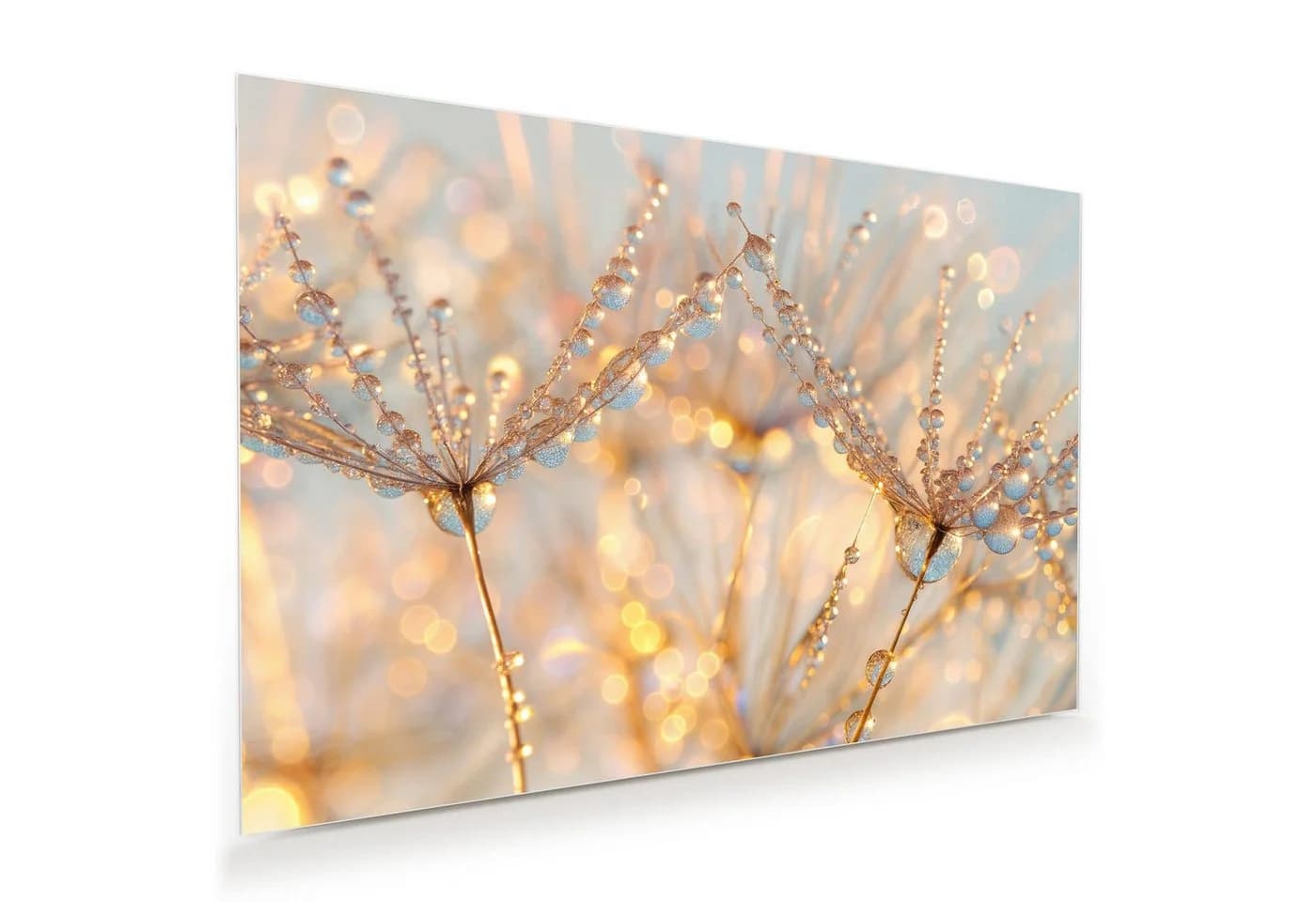 Primedeco Glasbild Wandbild Tautropfen Panorama Blumen Pflanzen - Bild 2