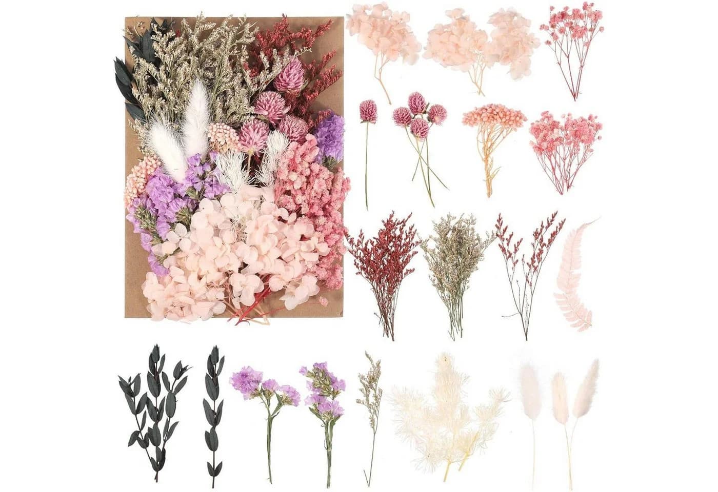 LuxusKollektion Getrocknete Blumen gemischt für DIY-Projekte & Bastelarbeiten - Bild 2