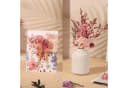 LuxusKollektion Getrocknete Blumen gemischt für DIY-Projekte & Bastelarbeiten Bild 3