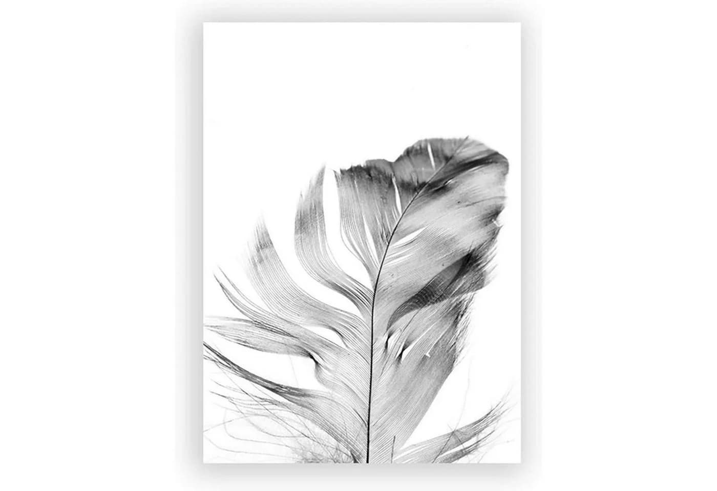 Trayosin 3-teiliges Poster Set Schwarz Weiß Blumen Federn Löwenzahn - Bild 5