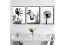 Martin Kench Poster 3er Set Schwarz-Weißer Schmetterling Blume Löwenzahn Modernes Bild 1
