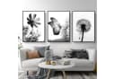 Martin Kench Poster 3er Set Schwarz-Weißer Schmetterling Blume Löwenzahn Modernes Bild 2