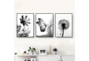 Martin Kench Poster 3er Set Schwarz-Weißer Schmetterling Blume Löwenzahn Modernes Bild 3